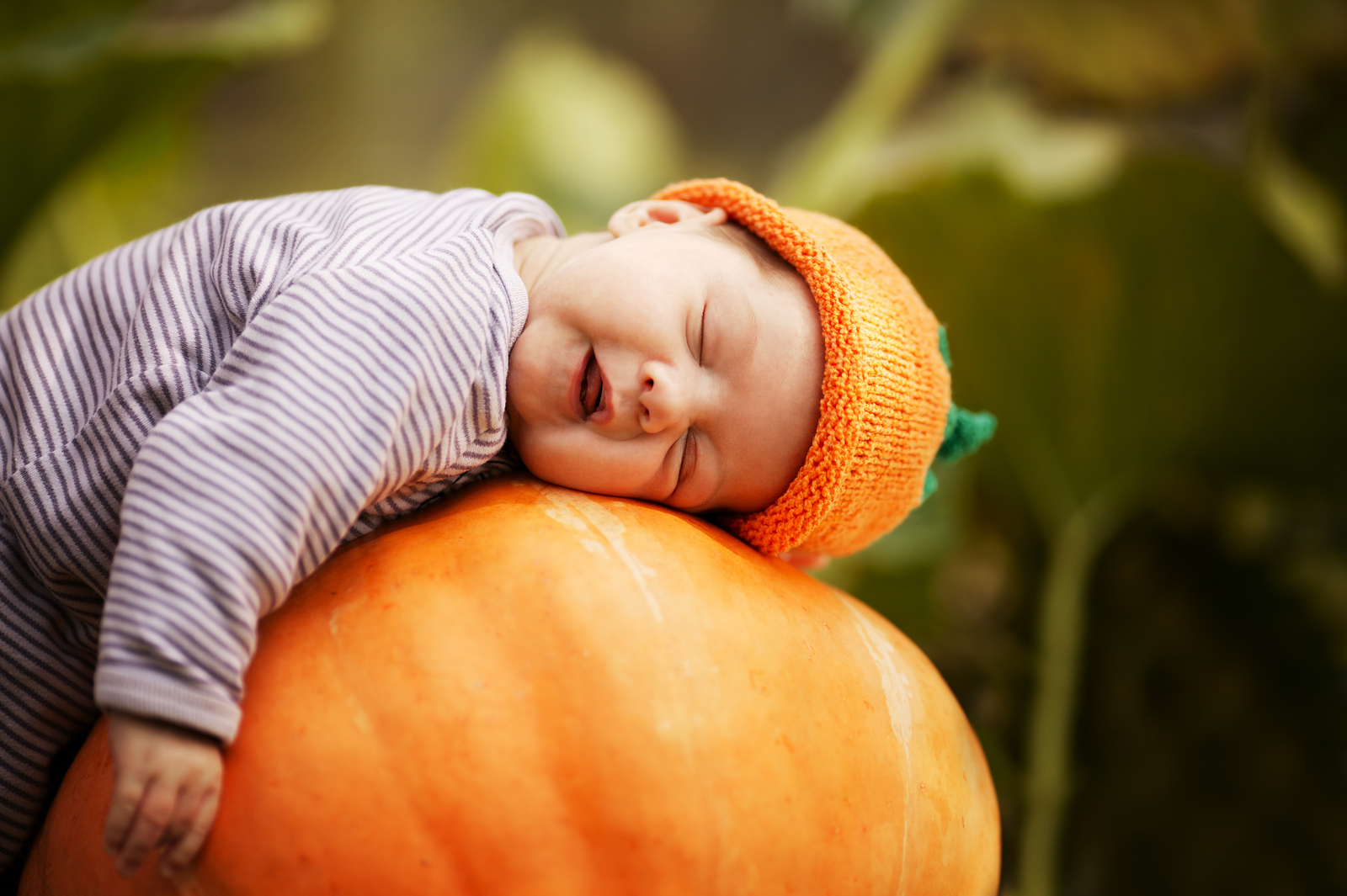 bigstock-baby-sleeping-on-big-pumpkin-41309152