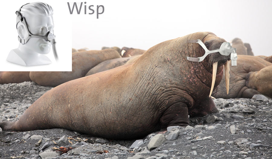 Wisp-Nasal-Mask-Walrus