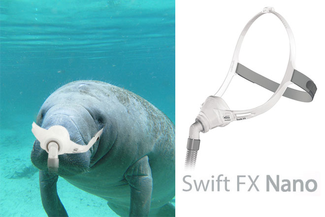 Swift-FX-Nano-Manatee