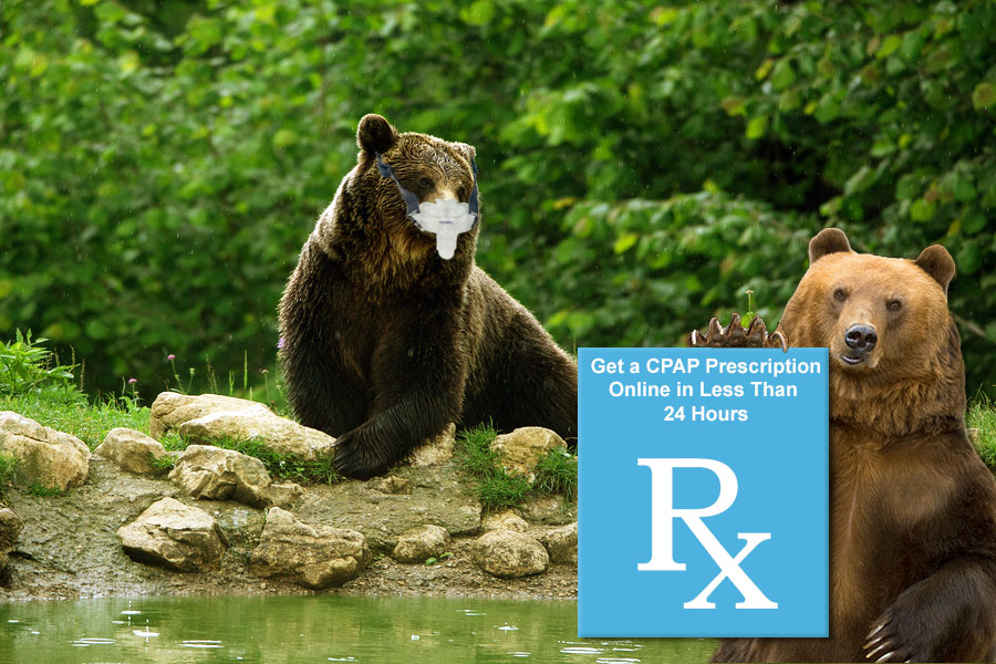 CPAP-RX-Package-Bear