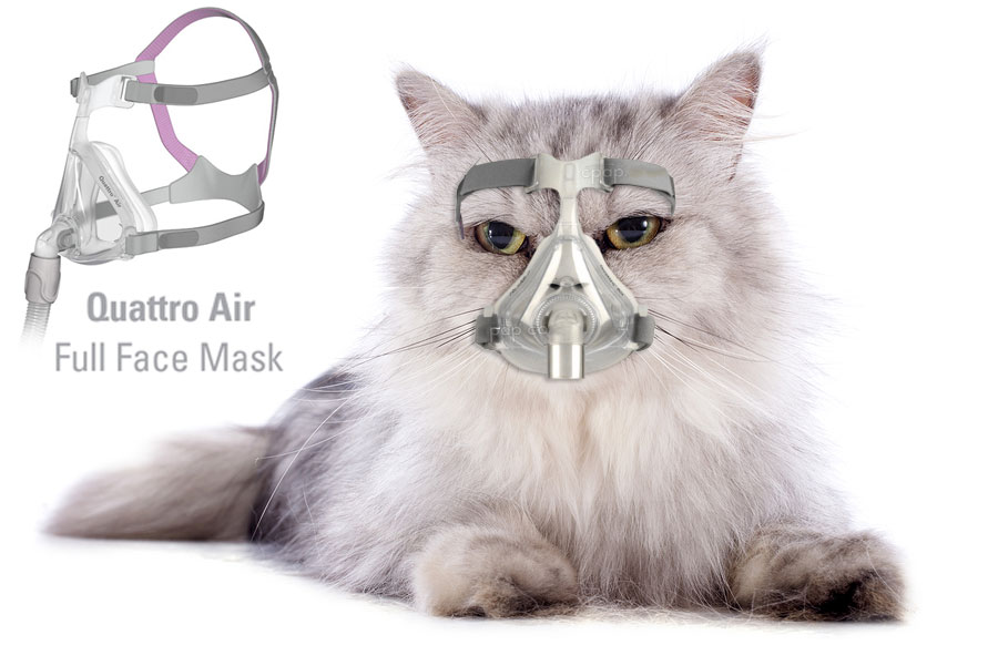 Quattro-Air-Full-Face-Mask-Cat