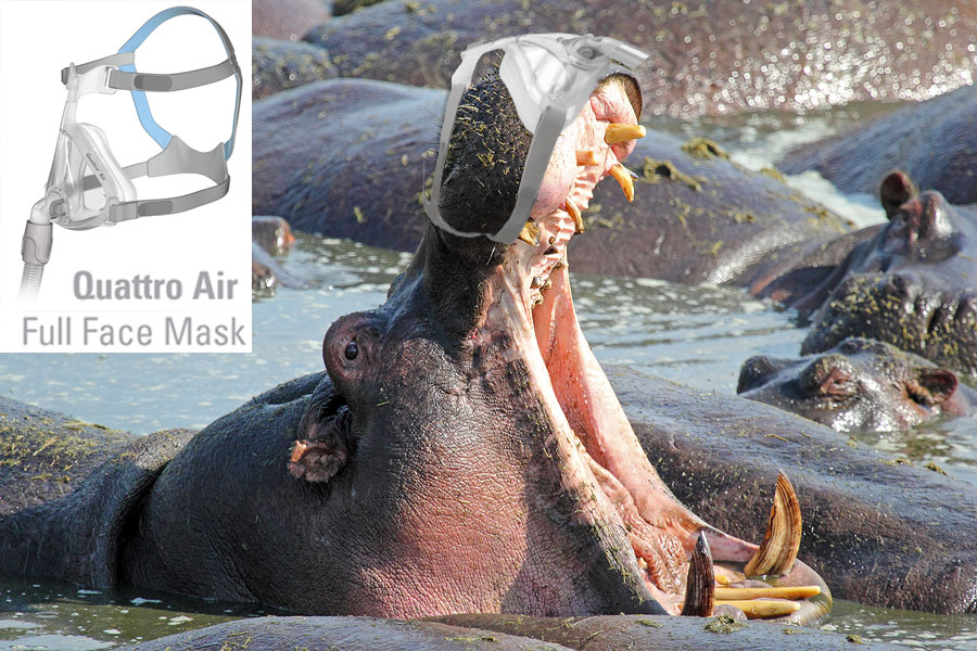 Quattro-Air-Full-Face-Mask-Hippo