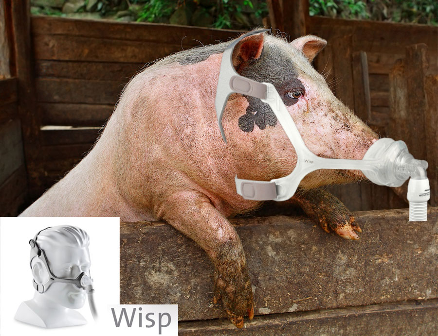 Wisp-Nasal-Mask-Pig