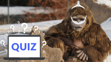Bigfoot-image